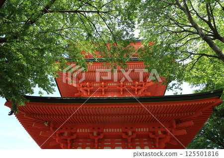 Three-storied pagoda surrounded by fresh greenery 125501816