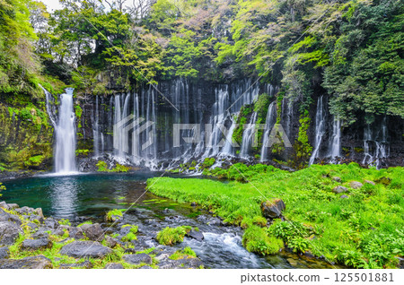 Shiraito Falls in Fujinomiya City, Shizuoka Prefecture Shiraito Falls in Fujinomiya City, Shizuoka Prefecture 125501881