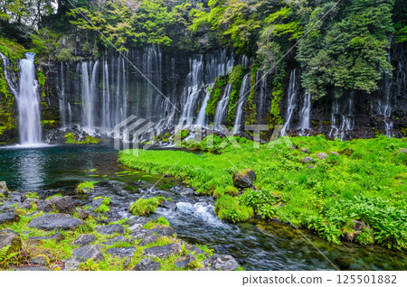 Shiraito Falls in Fujinomiya City, Shizuoka Prefecture Shiraito Falls in Fujinomiya City, Shizuoka Prefecture 125501882