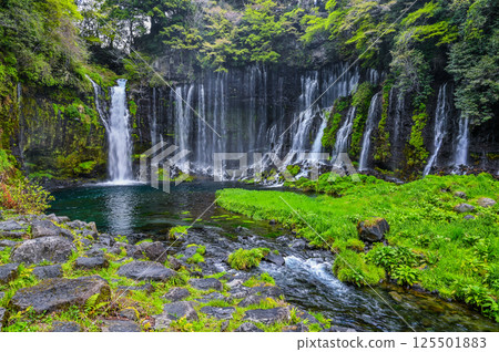 Shiraito Falls in Fujinomiya City, Shizuoka Prefecture Shiraito Falls in Fujinomiya City, Shizuoka Prefecture 125501883