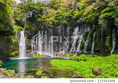 Shizuoka縣富士宮市的Shiraito瀑布 Shizuoka縣富士宮市的Shiraito瀑布 125501884