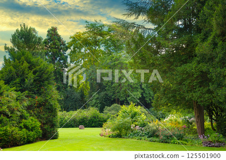 Beautiful garden with coniferous and deciduous trees and bright sun. 125501900