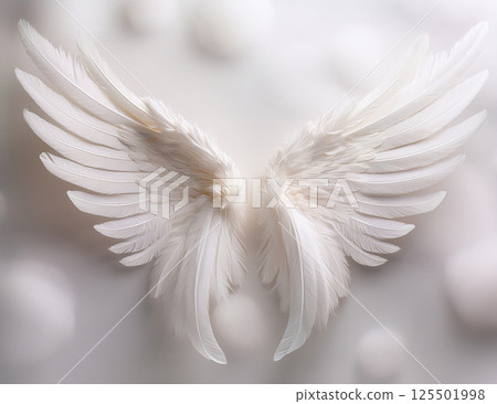 Wings Wallpaper 125501998