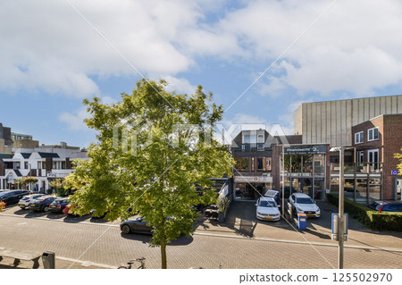 A vibrant urban street scene showcasing well-maintained greenery alongside parked vehicles, blending nature with the city vibe. 125502970