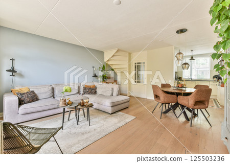 Cozy modern living room featuring a stylish gray sofa, elegant decor, and a blend of natural light with indoor plants, creating a serene atmosphere. 125503236