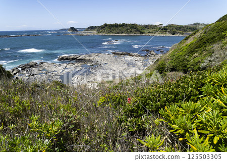 Coastal scenery 125503305