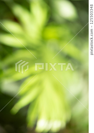 Abstract greenery background for spa and wellness branding, promoting tranquility, nature connection 125503348