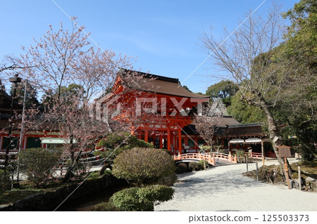 Kamigamo Shrine, a World Heritage Site in Kyoto Kamigamo Shrine, a World Heritage Site in Kyoto 125503373