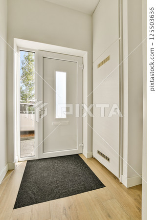 A spacious, modern entrance featuring a sleek door and large window allowing natural light. The floor is wooden, complemented by a cozy mat. 125503636