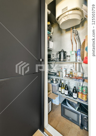 A well-organized kitchen storage area featuring various appliances, cans, and bottles neatly arranged on shelves. 125503759