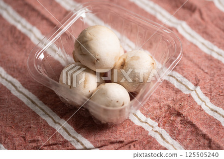 Mushroom image (stock photo) 125505240