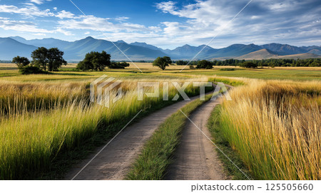 Rural Dirt Road Through Grass Fields with Mountain View 125505660