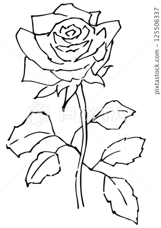 玫瑰線描插畫素材向量 玫瑰線描插畫素材向量 125506337