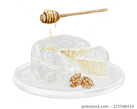 Camembert or brie cheese on a white plate watercolor drawing. Hand drawn illustration of dairy cream product with honey and walnuts of French cuisine. Clip art of food on white background. Ideal for 125506419