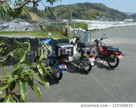 幼崽旅行 幼崽旅行 125506633