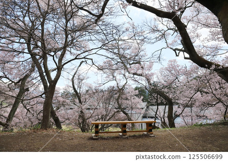 View from the Hodoin Kuruwa in Takato Castle Ruins Park (Takato Town, Nagano Prefecture) 125506699