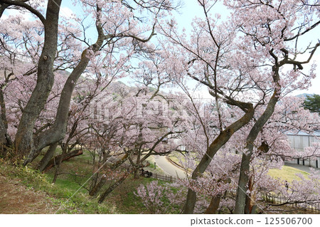 從高遠城蹟公園寶土院古輪眺望的景色（長野縣高遠町） 125506700
