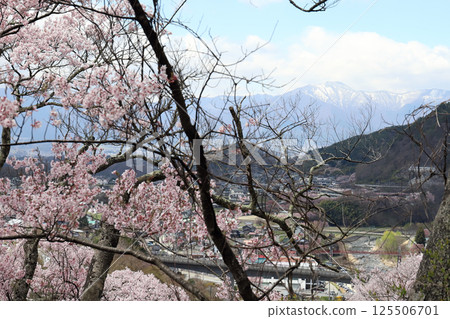 高遠城公園櫻花季（長野縣高遠町） 125506701