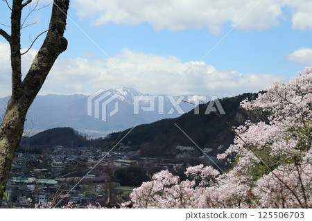 高遠城公園櫻花季（長野縣高遠町） 125506703