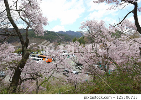 高遠城跡公園巴士停車場(長野縣高遠町) 高遠城跡公園巴士停車場(長野縣高遠町) 125506713