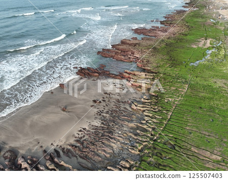 老梅綠石槽 125507403