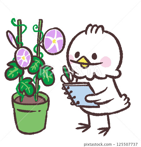 Illustration of a white bird recording morning glories Illustration of a white bird recording morning glories 125507737