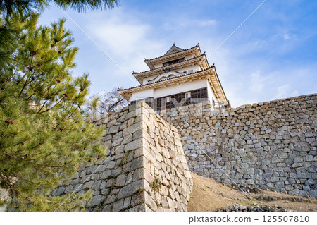 丸龜城石牆與天守閣的風景 125507810