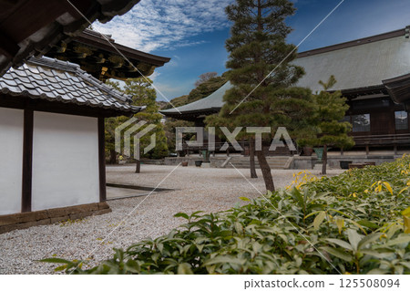 Kamikura Kenchoji 125508094