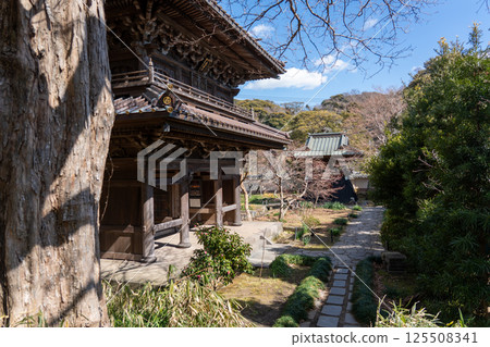 Kamakura Hinkamji Temple 125508341