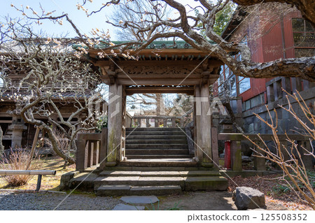 Kamakura Hinkamji Temple 125508352