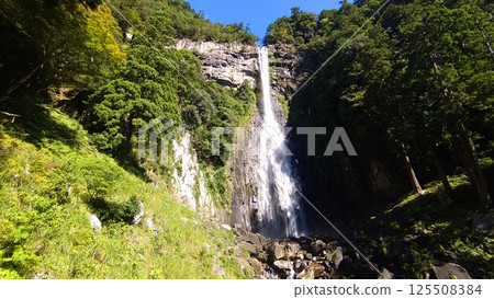 Nachi Otaki 125508384