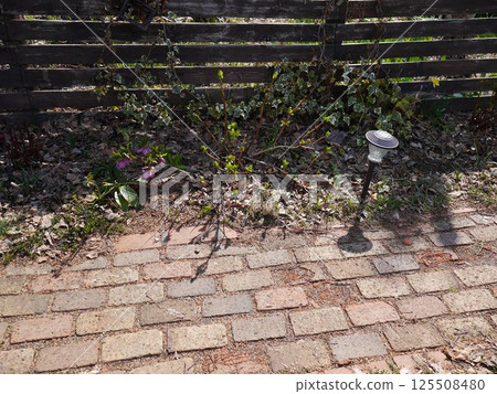 Sunny spring garden Sunny spring garden 125508480