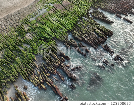 潮間帶 125508653