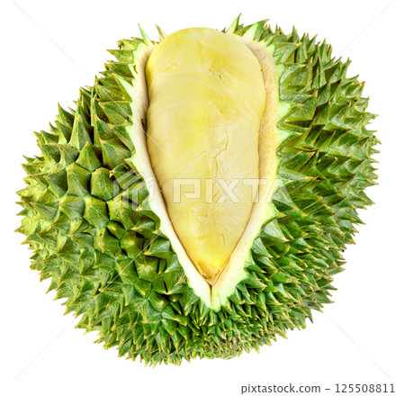 ripe durian fruit isolated ripe durian fruit isolated 125508811