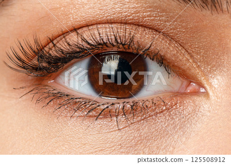 Close-Up of Brown Eye with Long Eyelashes Close-Up of Brown Eye with Long Eyelashes 125508912