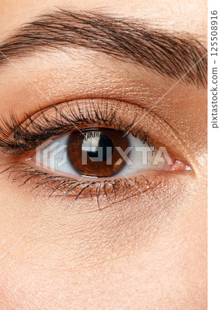 A closeup of a womans eye enhanced with beautiful mascara A closeup of a womans eye enhanced with beautiful mascara 125508916