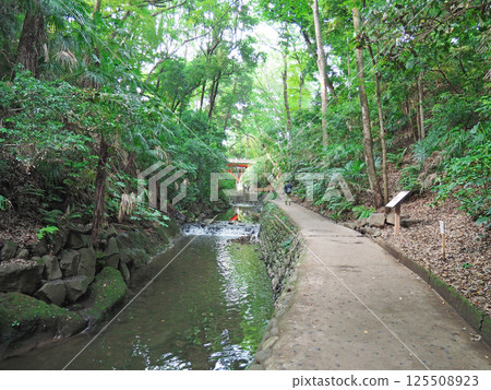 與一條河的風景。轟谷。 125508923