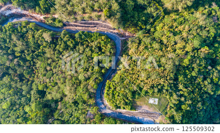 Top view green forest trees background, Beautiful green nature background Top view green forest trees background, Beautiful green nature background 125509302