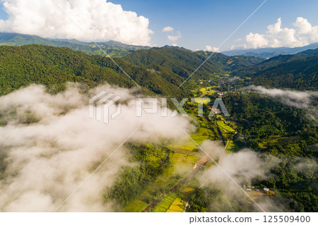 Top view green forest trees background, Beautiful green nature background Top view green forest trees background, Beautiful green nature background 125509400
