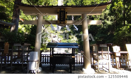 Torii gate of Hiryu Shrine 125509446