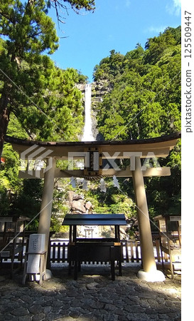 Torii gate of Hiryu Shrine 125509447