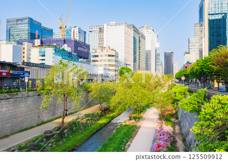 Seoul, fresh green Cheonggyecheon, Myeongdong area Seoul, fresh green Cheonggyecheon, Myeongdong area 125509912