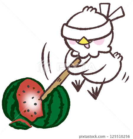 一隻白鳥劈西瓜的插圖 一隻白鳥劈西瓜的插圖 125510256