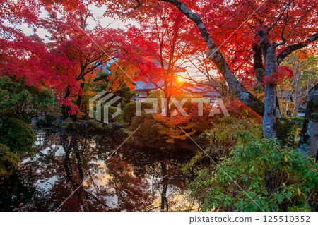 Colorful autumn maple leaves by pond at sunset in Kiyomizu dera, Kyoto Colorful autumn maple leaves by pond at sunset in Kiyomizu dera, Kyoto 125510352