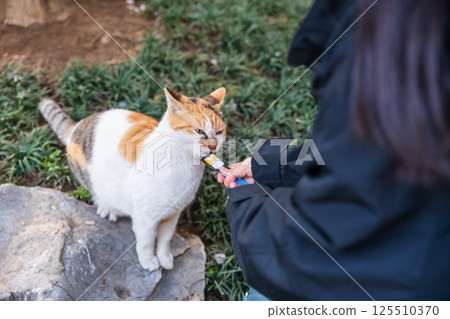 woman feed food to adorable cat in Longhua temple, Shanghai 125510370