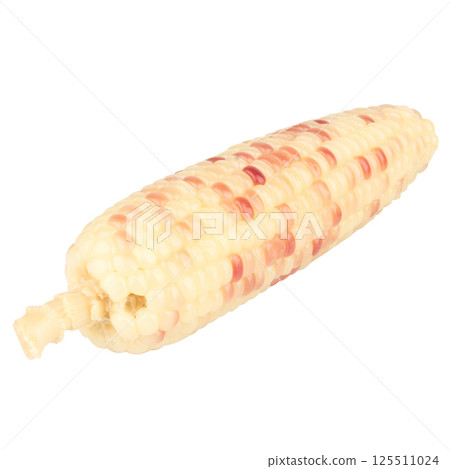 waxy corn isolated on white background waxy corn isolated on white background 125511024