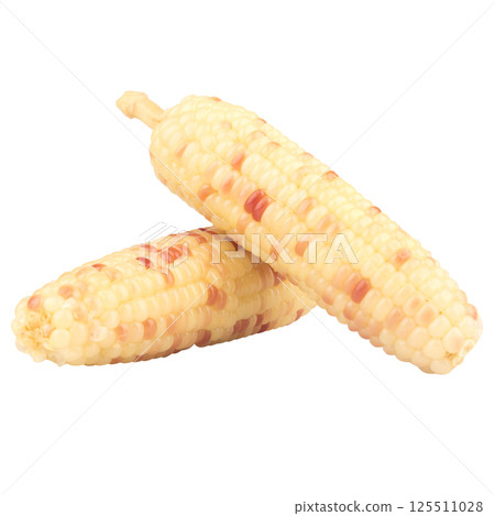waxy corn isolated on white background waxy corn isolated on white background 125511028