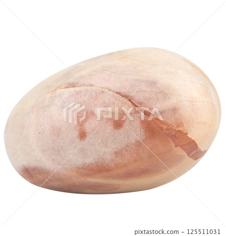 Jackfruit seeds isolated on white background Jackfruit seeds isolated on white background 125511031