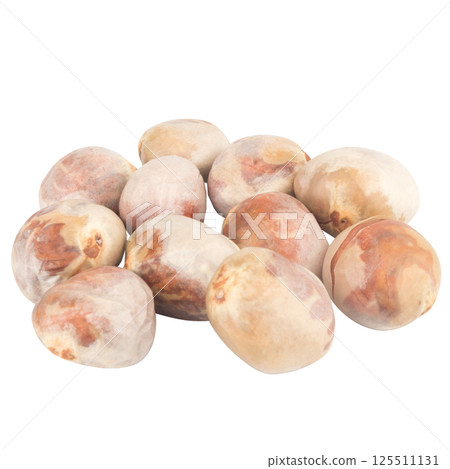 Jackfruit seeds isolated on white background Jackfruit seeds isolated on white background 125511131