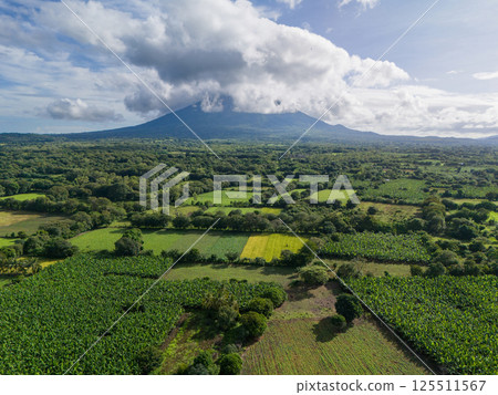 Green agriculture field with volcano on background Green agriculture field with volcano on background 125511567